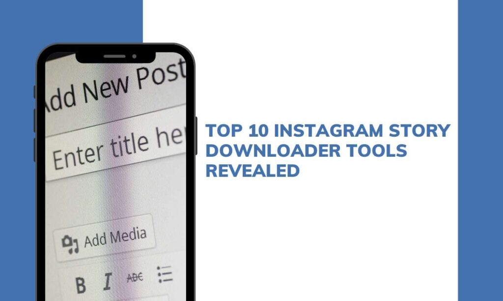 Top 10 Instagram Story Downloader